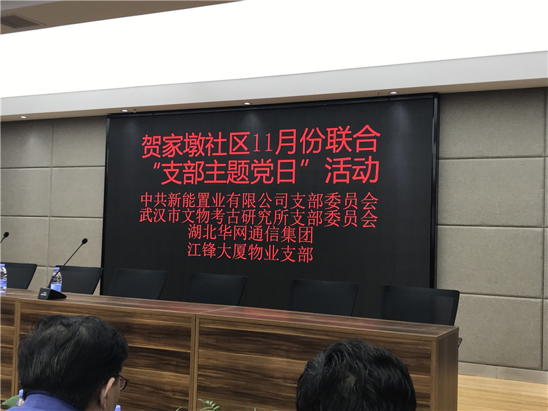 贺家墩社区11月份联合“支部主题党日”活动